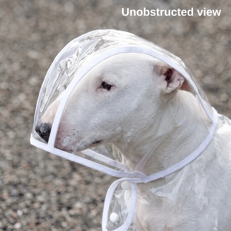 Transparent Dog Raincoat