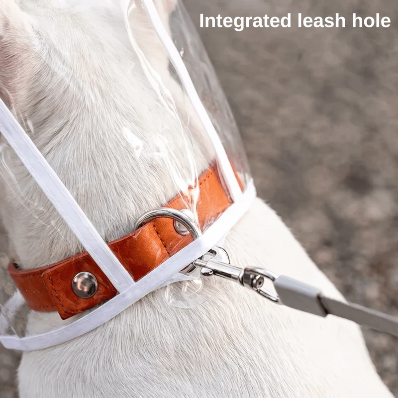 Transparent Dog Raincoat