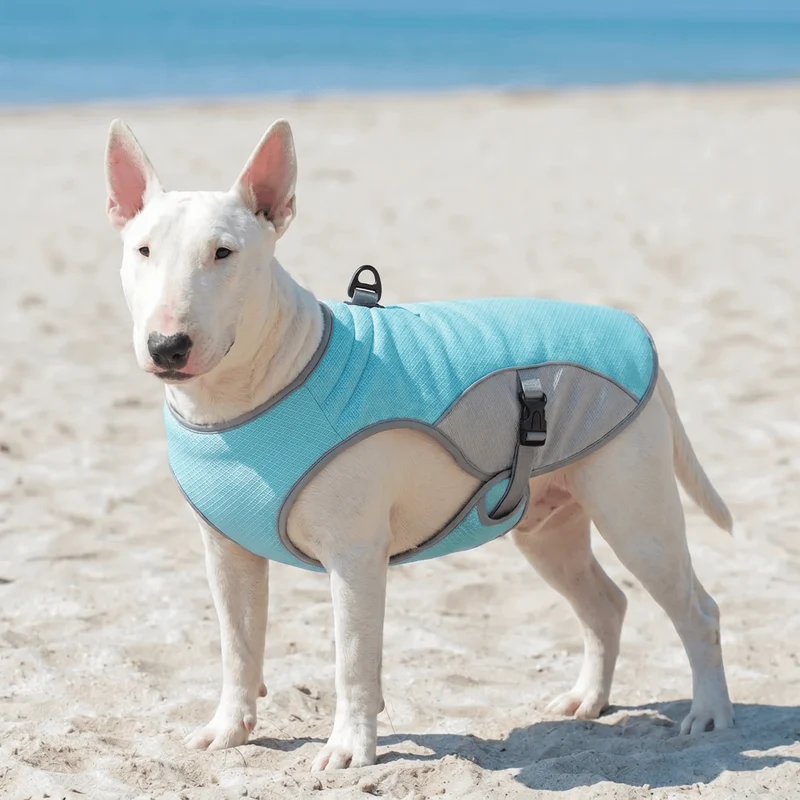 Water-Activated Cooling Vest