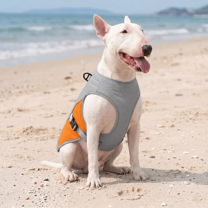 Water-Activated Cooling Vest