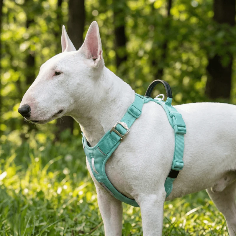 Soft Padded Cordura Y Harness