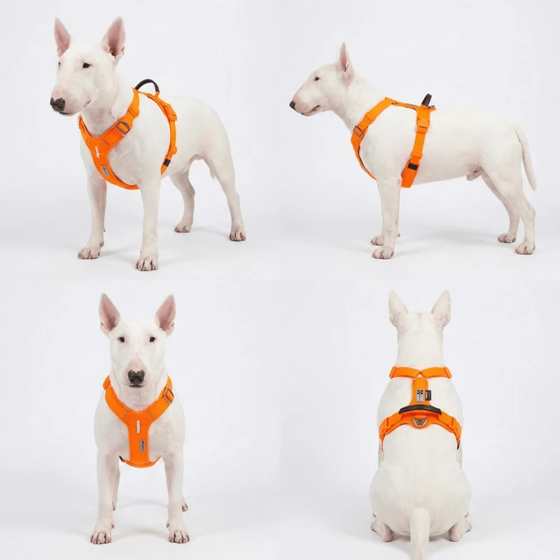 Soft Padded Cordura Y Harness