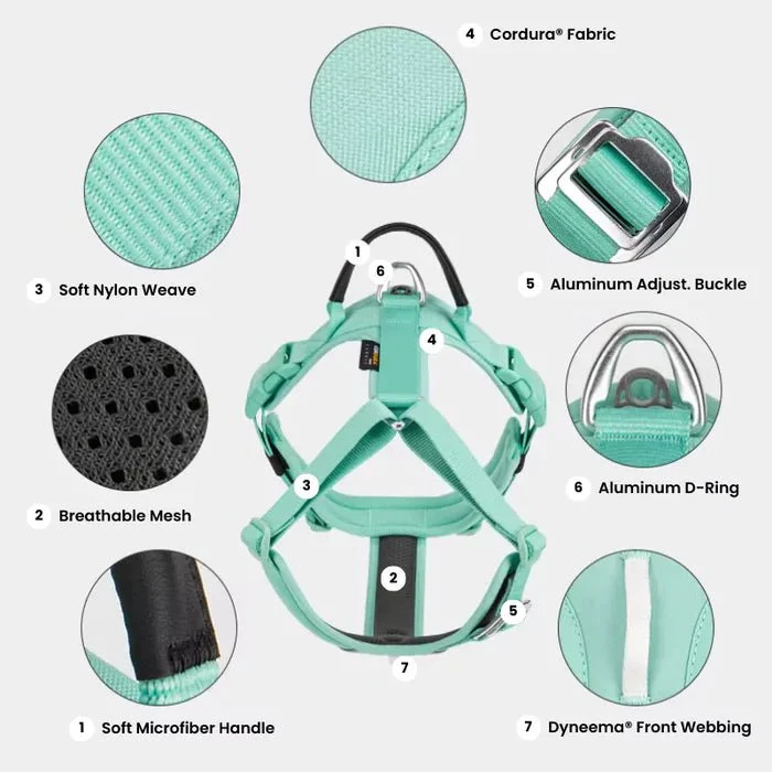 Soft Padded Cordura Y Harness
