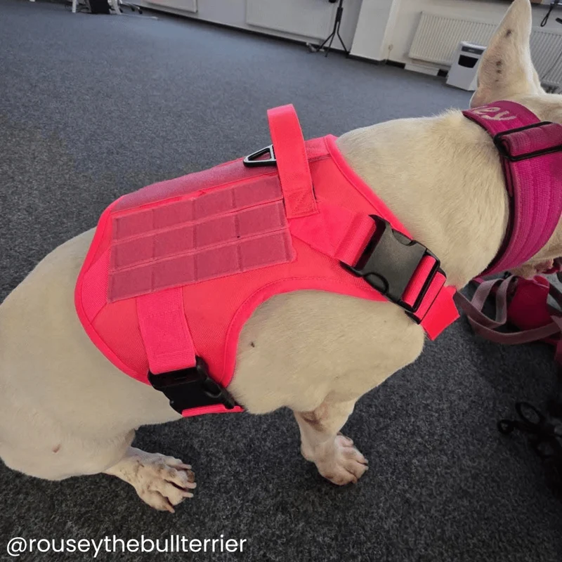 "The Commander" Tactical No-Pull Harness