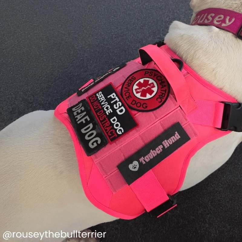 "The Commander" Tactical No-Pull Harness