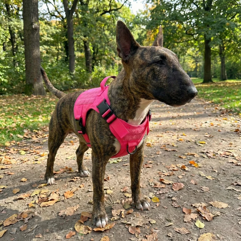 "The Commander" Tactical No-Pull Harness
