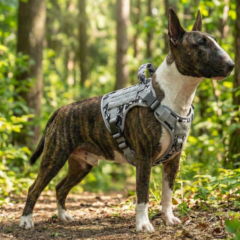 "The Commander" Tactical No-Pull Harness