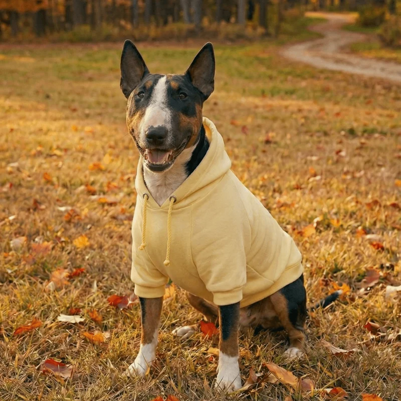 Hoodie With Drawstrings