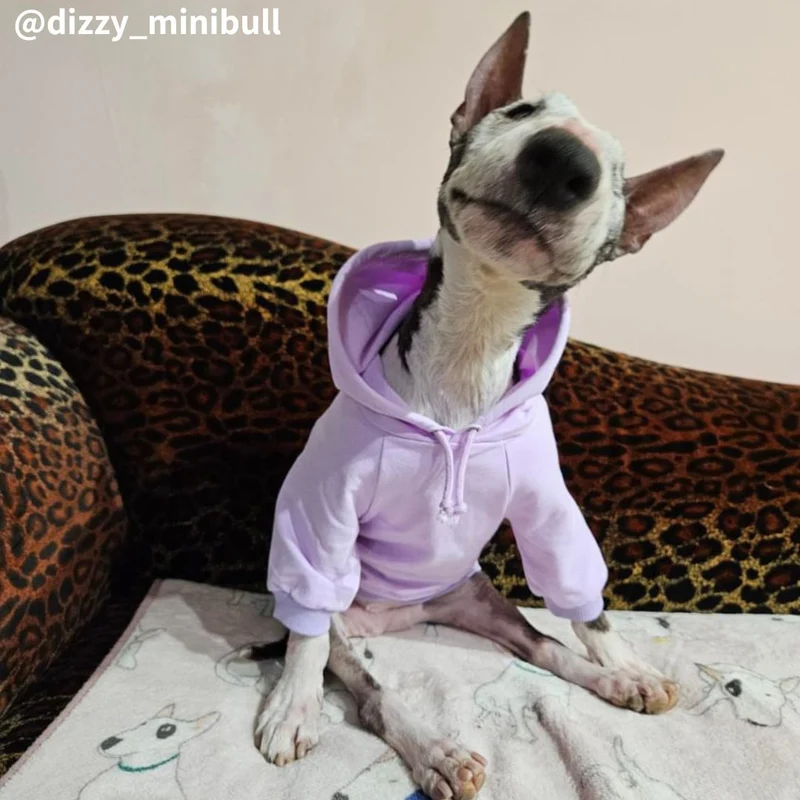 Hoodie With Drawstrings