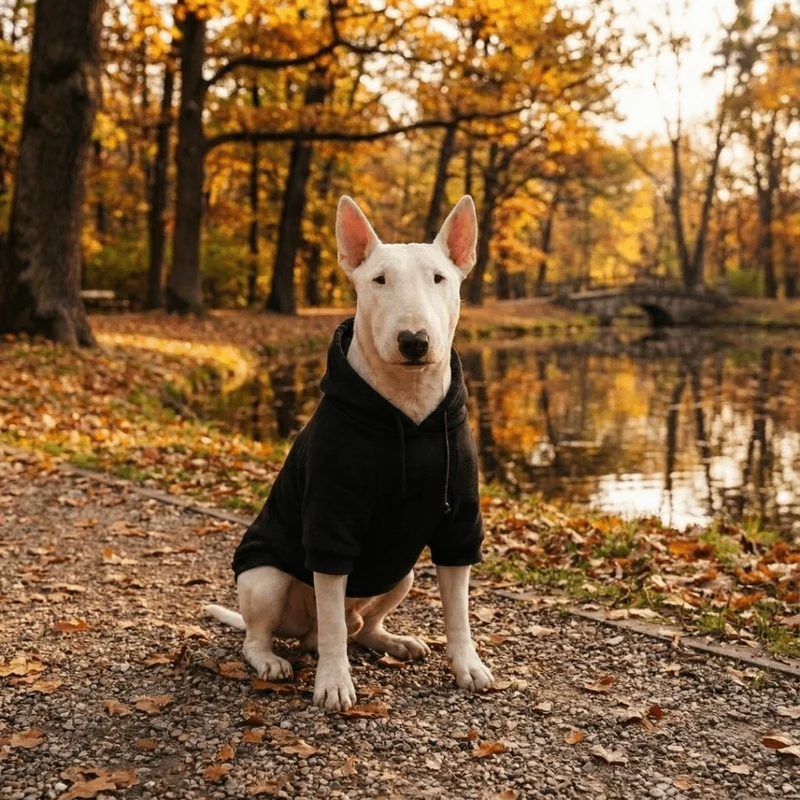 Hoodie With Drawstrings