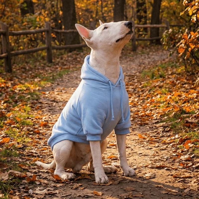 Hoodie With Drawstrings