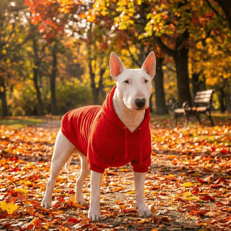 Hoodie With Drawstrings