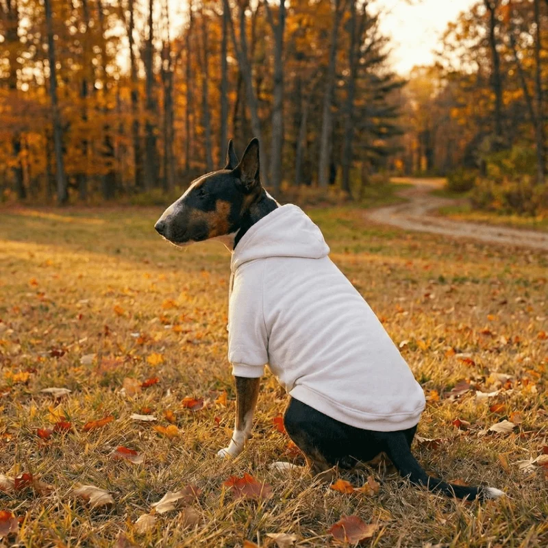 Hoodie With Drawstrings