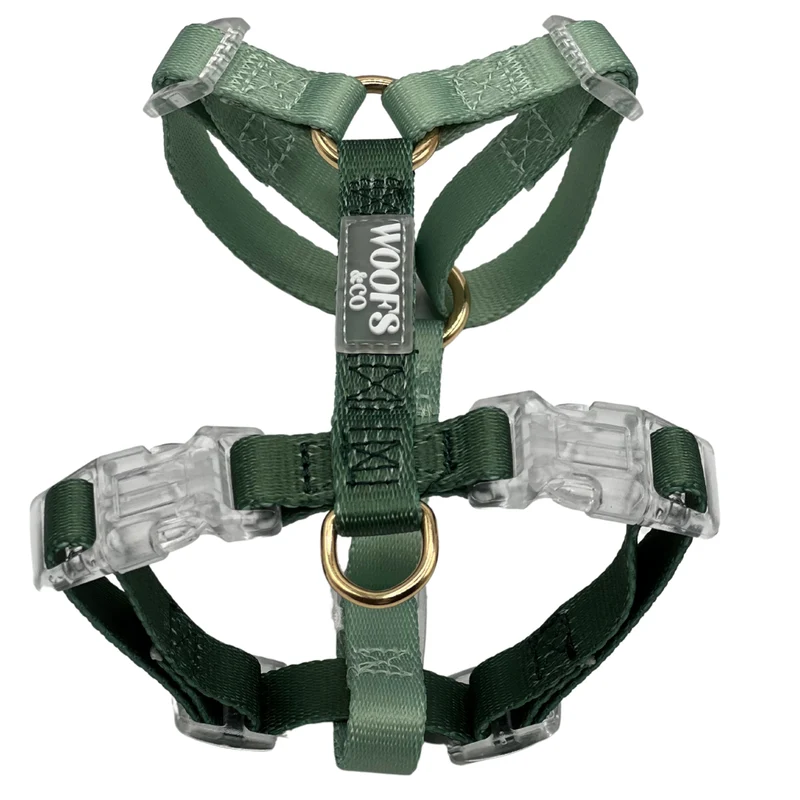 Harnais bicolore Sage Green