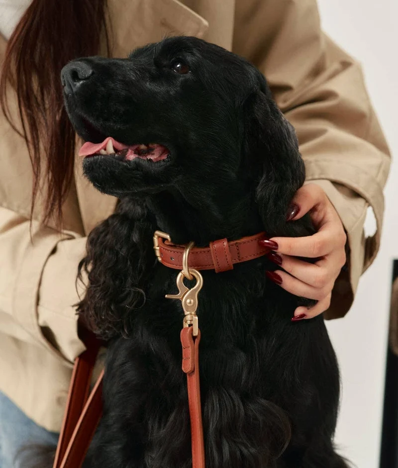 Collier en cuir végétalien Jala