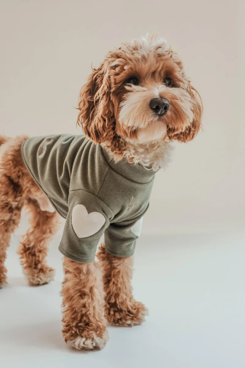 T-shirt Forever Together