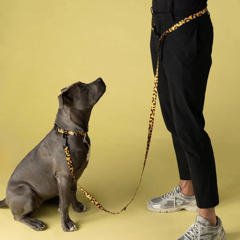 Collier Funky Leo