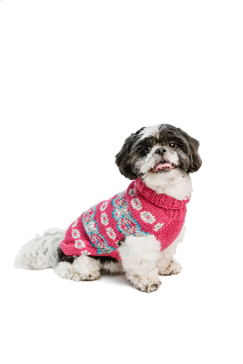 Pull en laine Jacquard