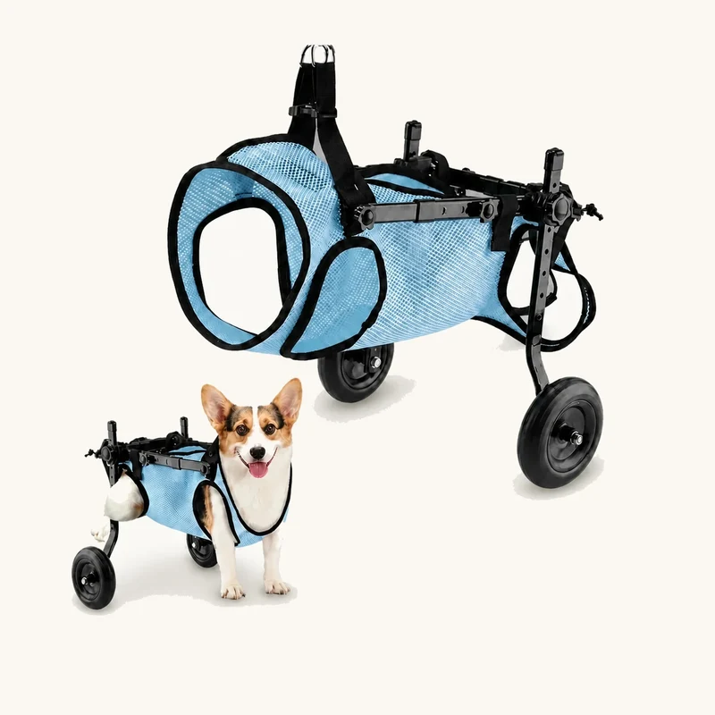JoyStride Dog Wheelchair for Small & Medium Breeds