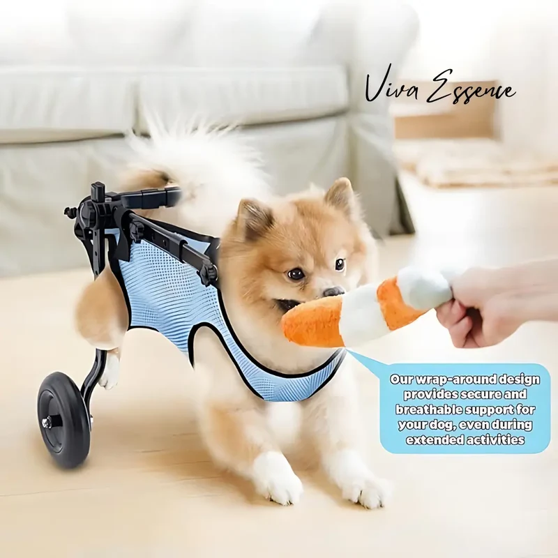 JoyStride Dog Wheelchair for Small & Medium Breeds