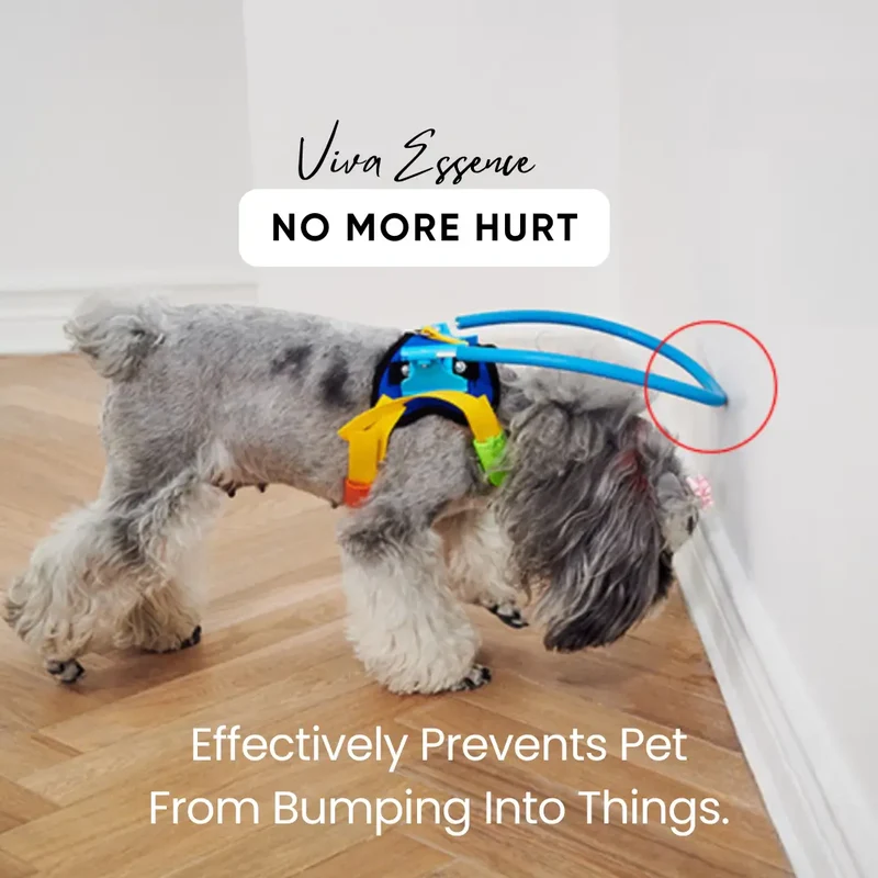 Halo Safety Ring for Blind Pets