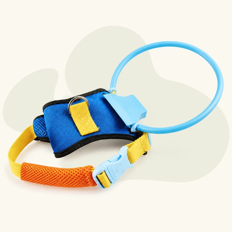 Halo Safety Ring for Blind Pets