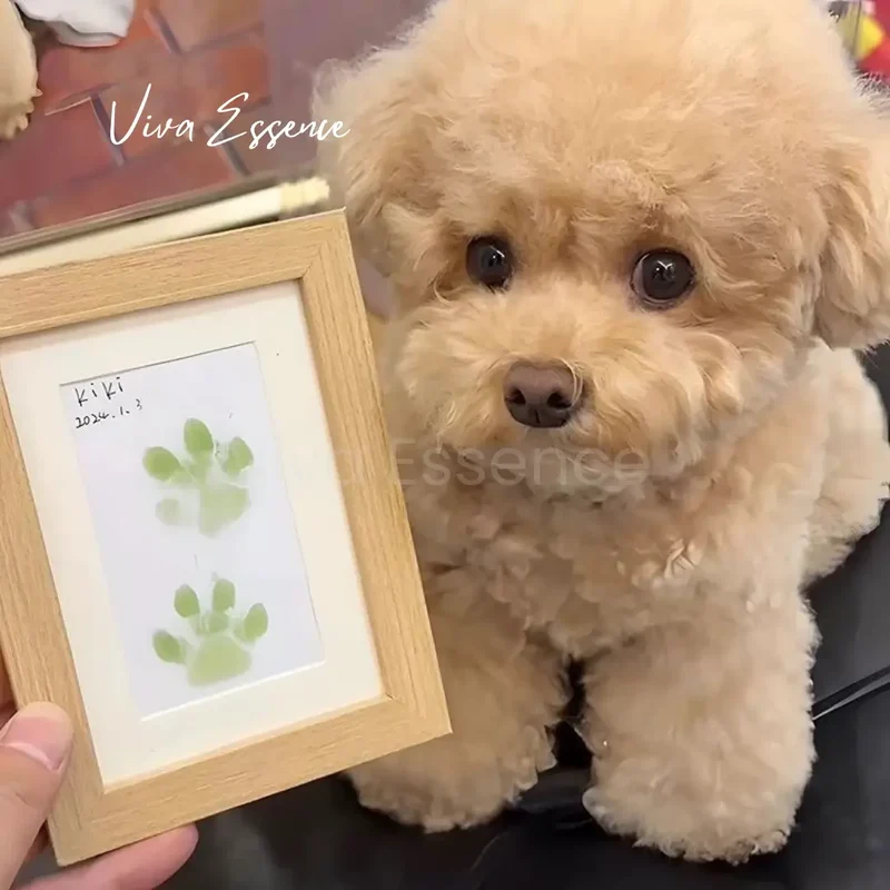 Mess-Free Paw Print Keepsake Frame