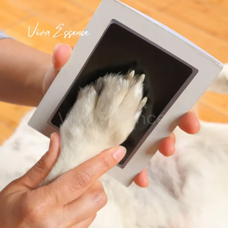 Mess-Free Paw Print Keepsake Frame