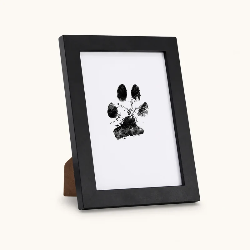 Mess-Free Paw Print Keepsake Frame