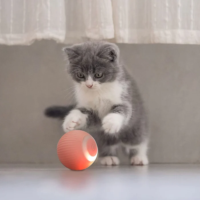 Pet Smart Rotating Ball