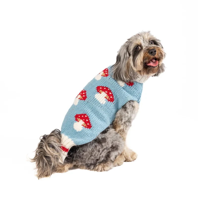 Pull en laine Mushroom
