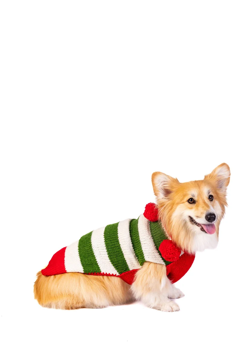 Pull de Noël Elfe