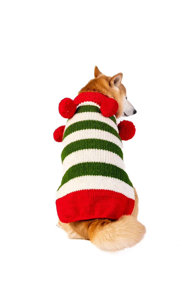 Pull de Noël Elfe