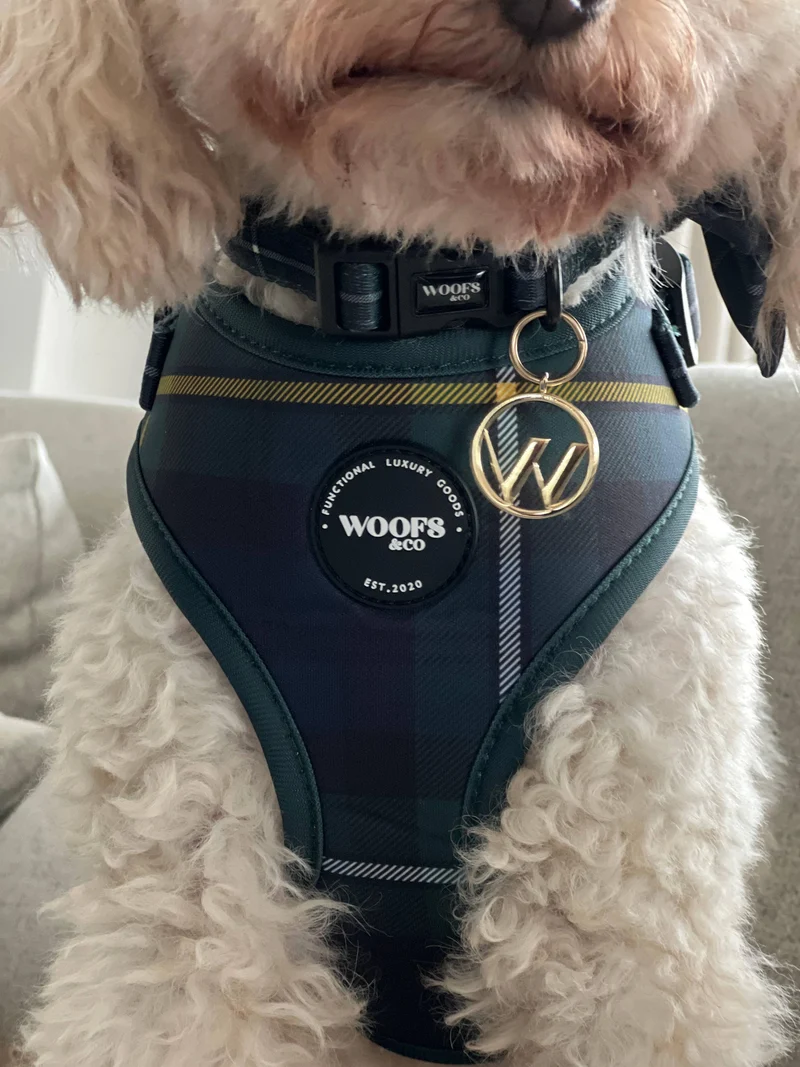 Harnais Tartan