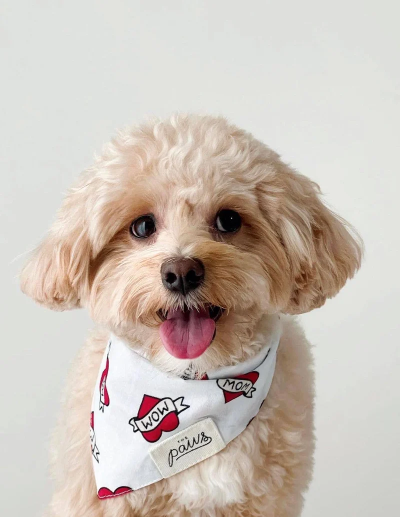 Bandana Love Mom