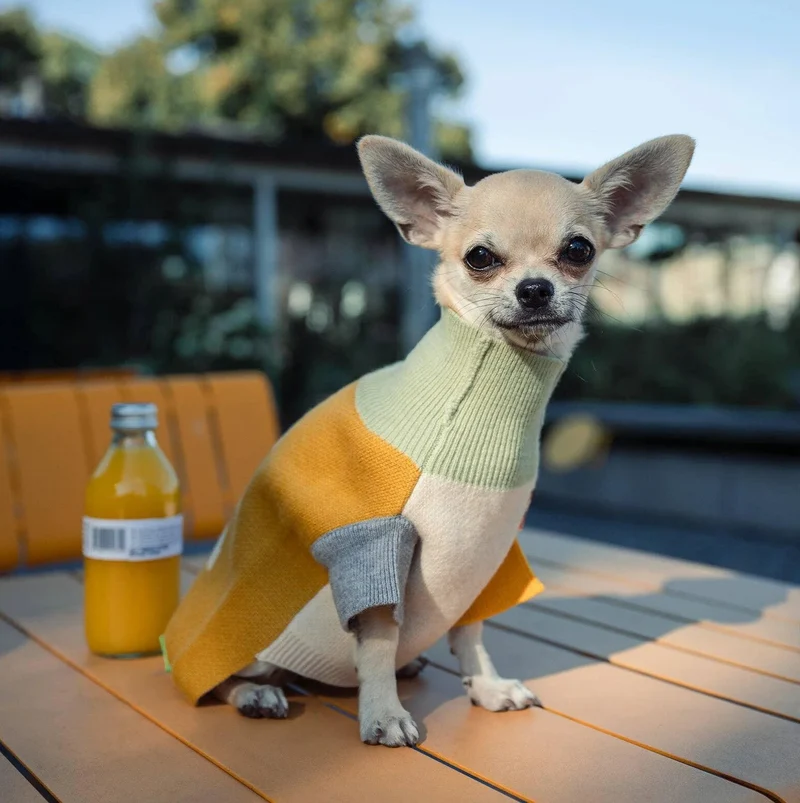 Pull en laine La Baguette
