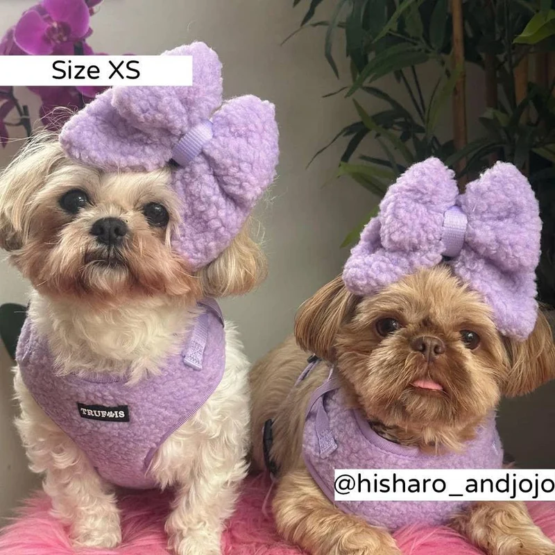 Harnais ajustable Teddy Lilas