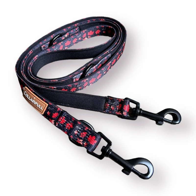 Laisse ajustable Autumn leaves