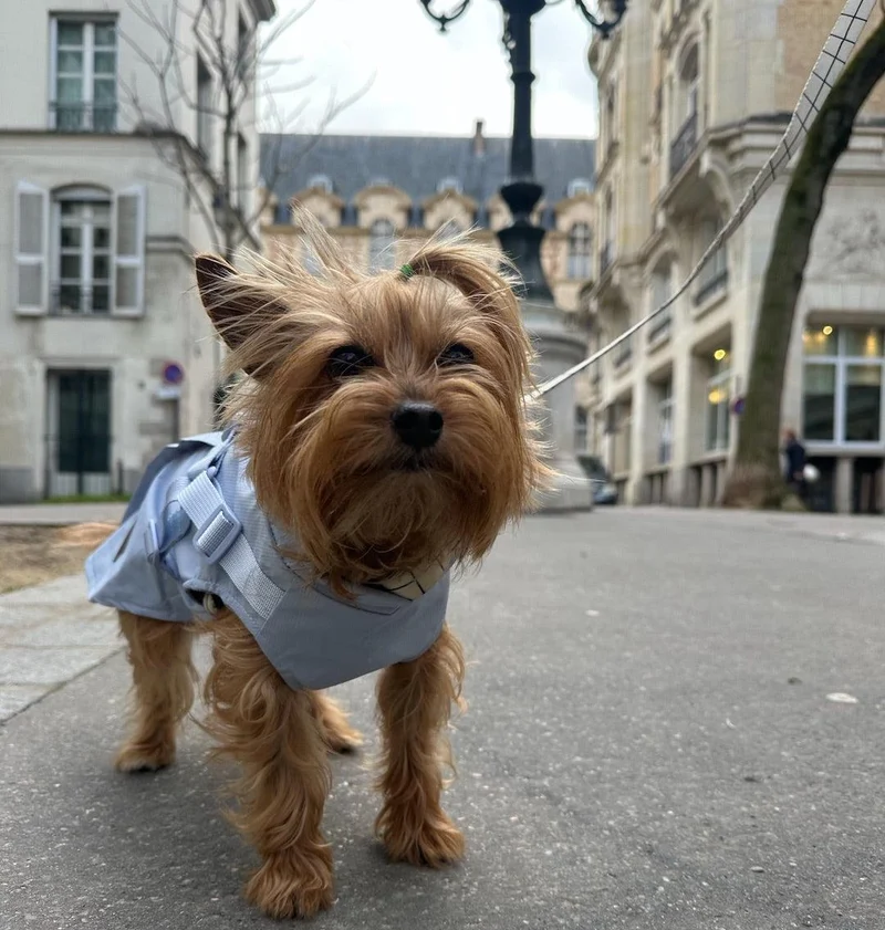 Imperméable avec harnais intégré