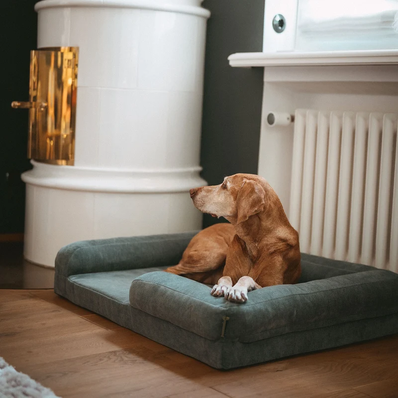 Orthopädisches/Ergonomisches Hundesofa Melun