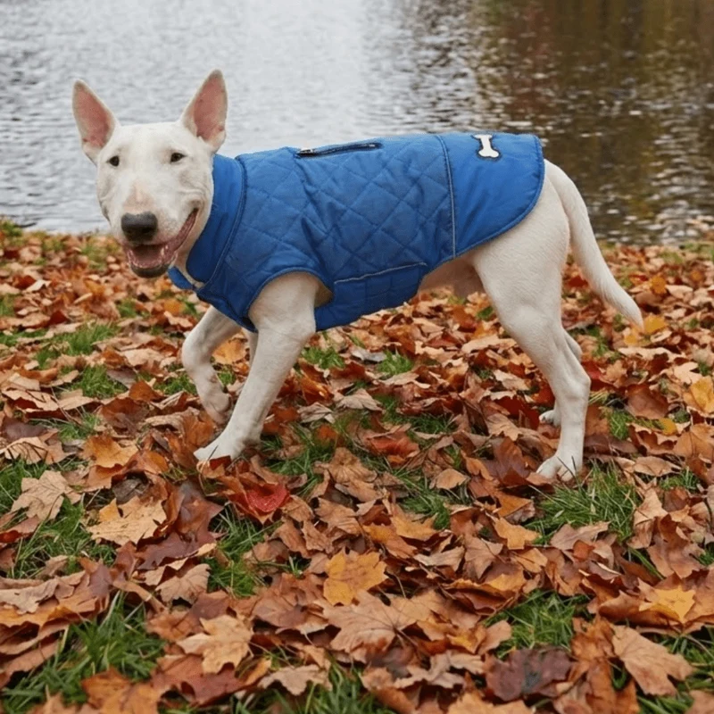 Double-Sided Waterproof Vest