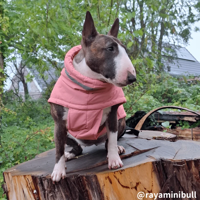 Waterproof Dog Vest With High Collar