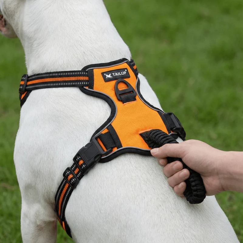 Easy Control No-Pull Harness
