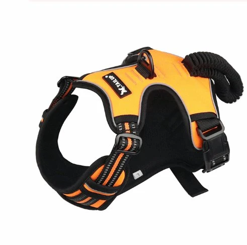 Easy Control No-Pull Harness
