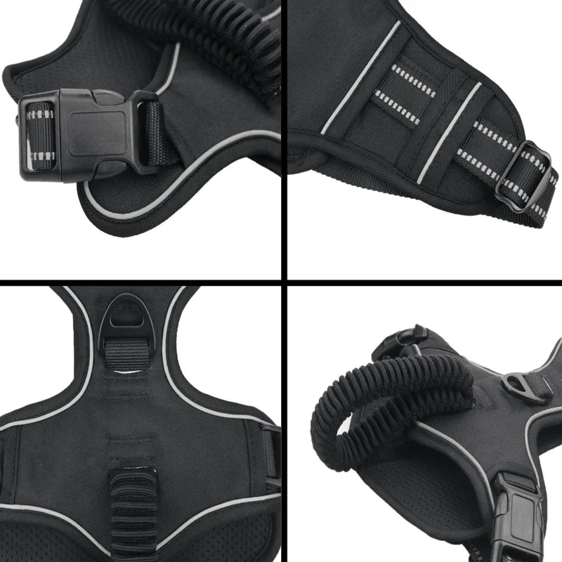 Easy Control No-Pull Harness