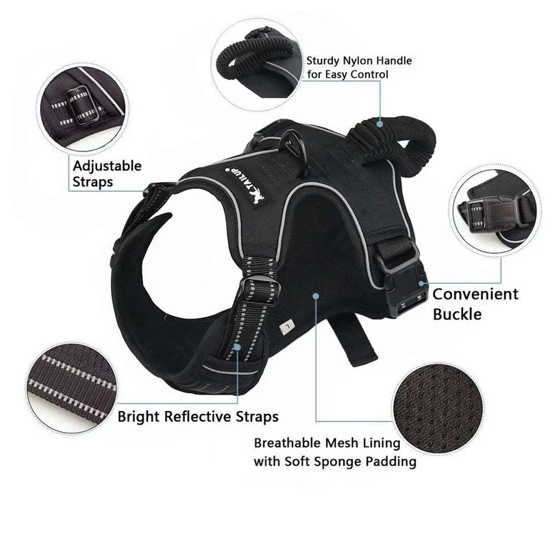 Easy Control No-Pull Harness