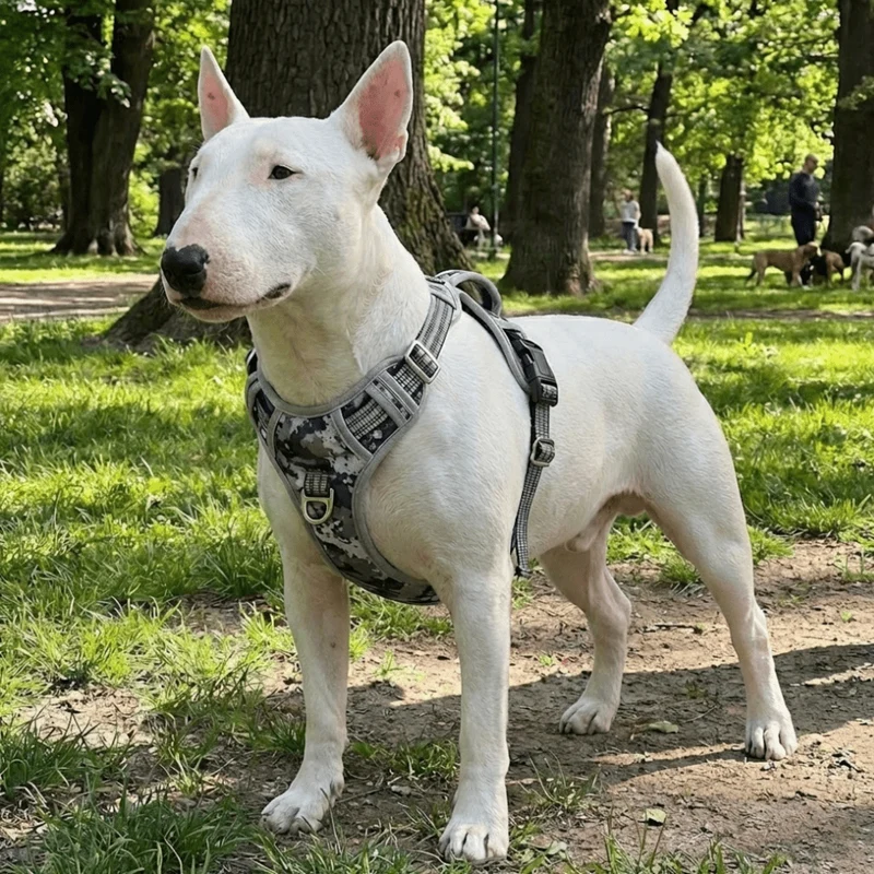 Vertical Handle Reflective Harness