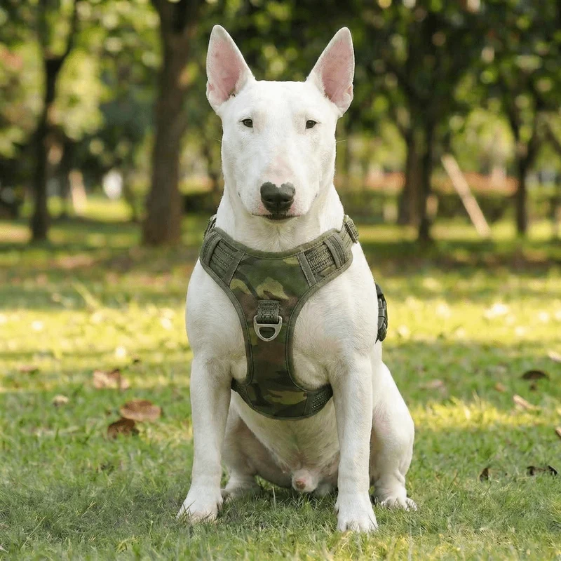 Vertical Handle Reflective Harness