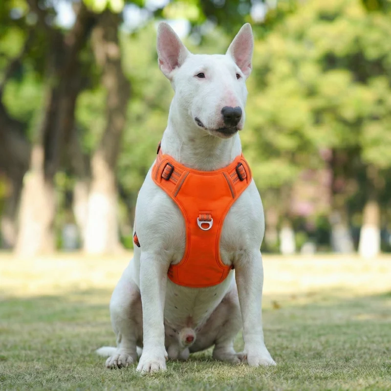 Vertical Handle Reflective Harness