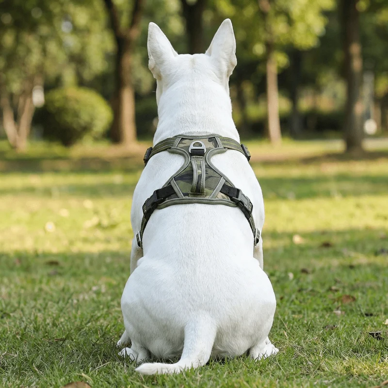 Vertical Handle Reflective Harness